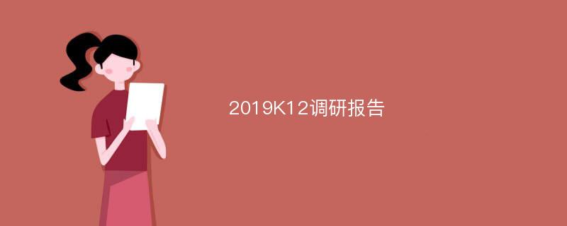 2019K12调研报告