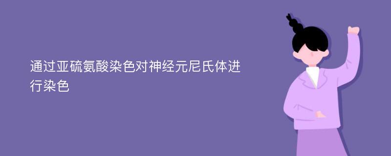 通过亚硫氨酸染色对神经元尼氏体进行染色