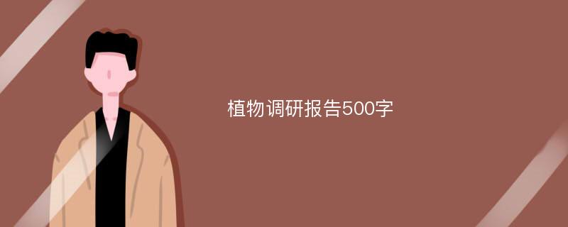 植物调研报告500字