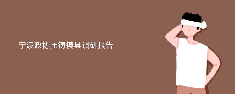 宁波政协压铸模具调研报告