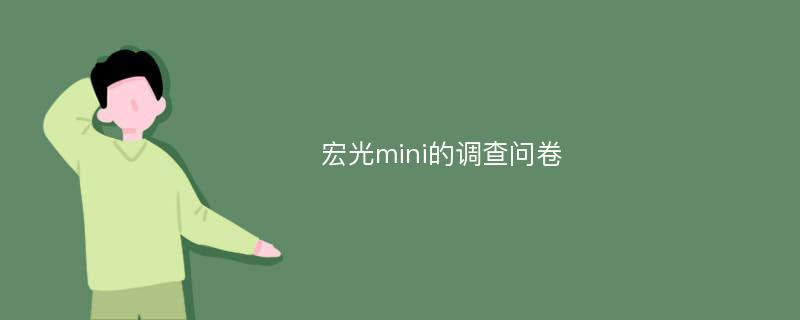 宏光mini的调查问卷