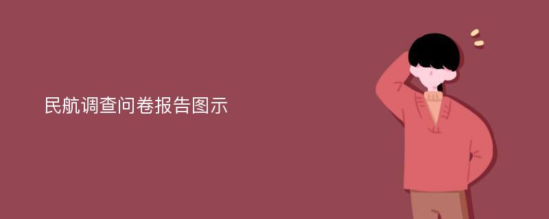 民航调查问卷报告图示