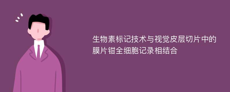 生物素标记技术与视觉皮层切片中的膜片钳全细胞记录相结合